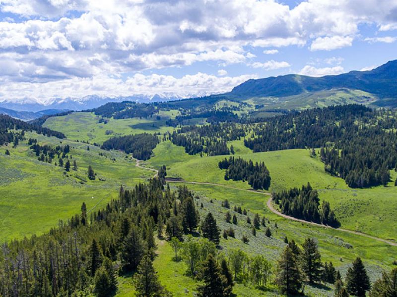 Trail Creek Ranch : Bozeman : Gallatin County : Montana