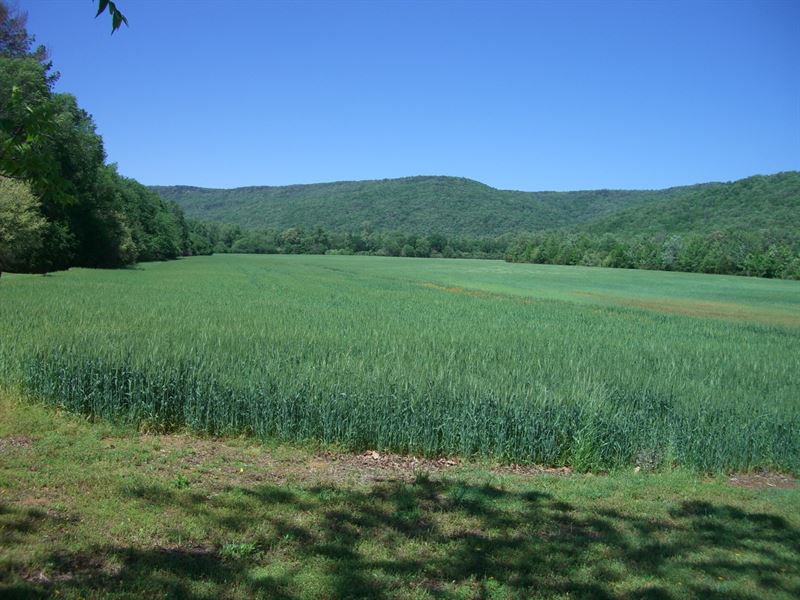93 Ac Farm Fackler AL : Fackler : Jackson County : Alabama