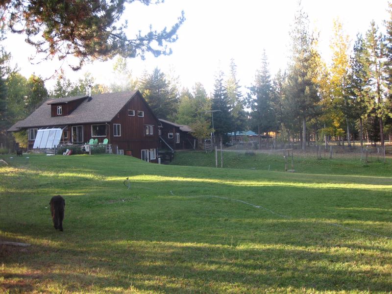 Self Sustaining Farm : Trout Creek : Sanders County : Montana