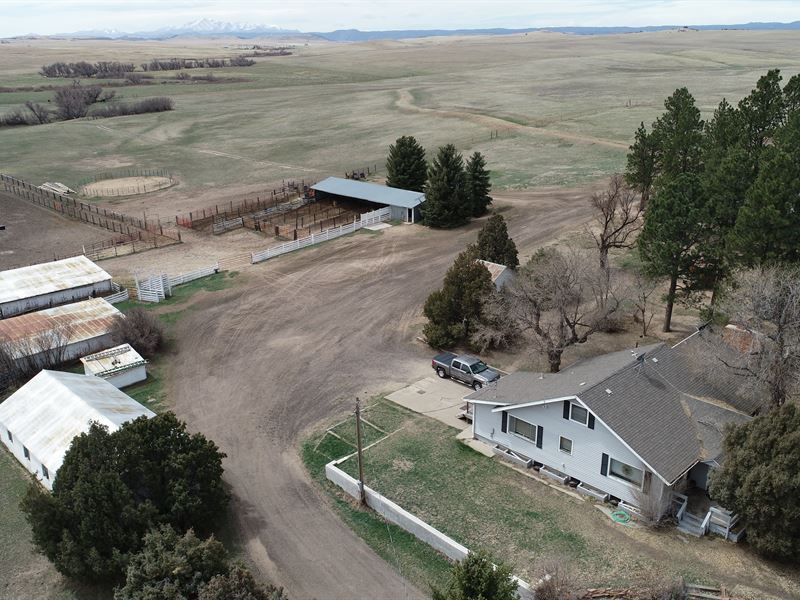 Antelope Creek Ranch : Franktown : Douglas County : Colorado