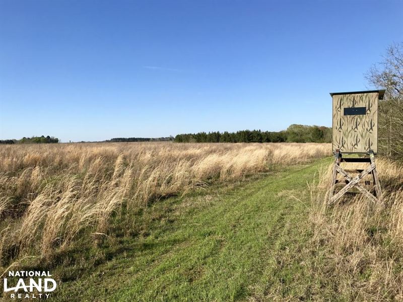 Tyler Farm Timber and Hunting Inves : Benton : Dallas County : Alabama