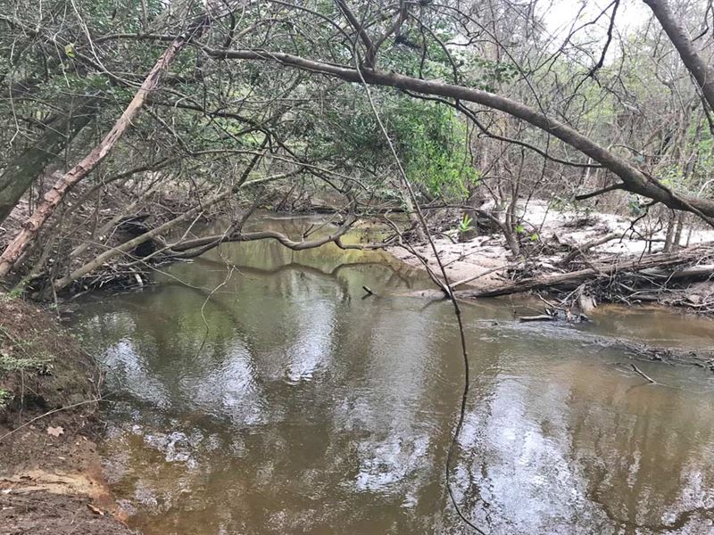 Surveyors Creek Tract : Gilbertown : Choctaw County : Alabama