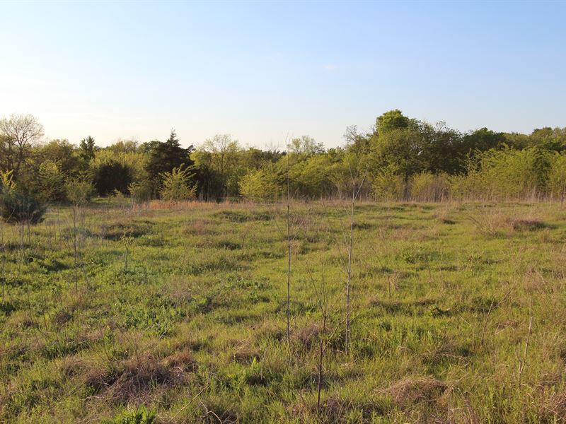 Country Home Build Site for Sale : Petty : Lamar County : Texas