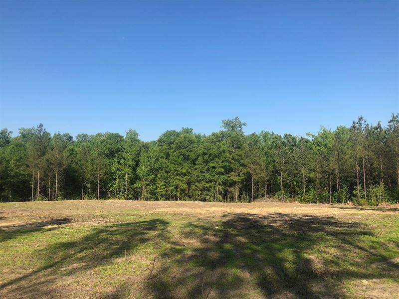 Beautiful Mini-Farm Near Auburn : Waverly : Lee County : Alabama