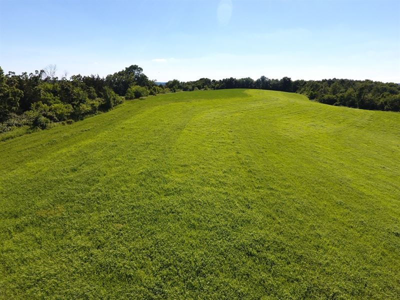 Ithaca Township Land : Richland Center : Richland County : Wisconsin