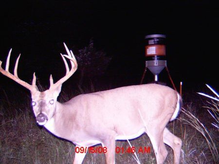 2400 Acs Hunting & Cattle Ranch : Sedan : Chautauqua County : Kansas