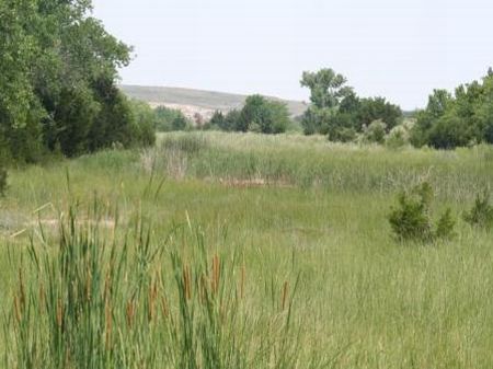 1050 Acs Hunting & Ranch : Hardtner : Comanche County : Kansas