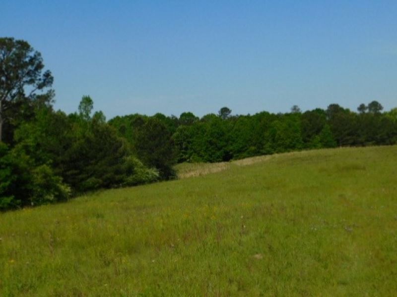 32.5 Acres in Copiah County in Hazl : Hazlehurst : Copiah County : Mississippi