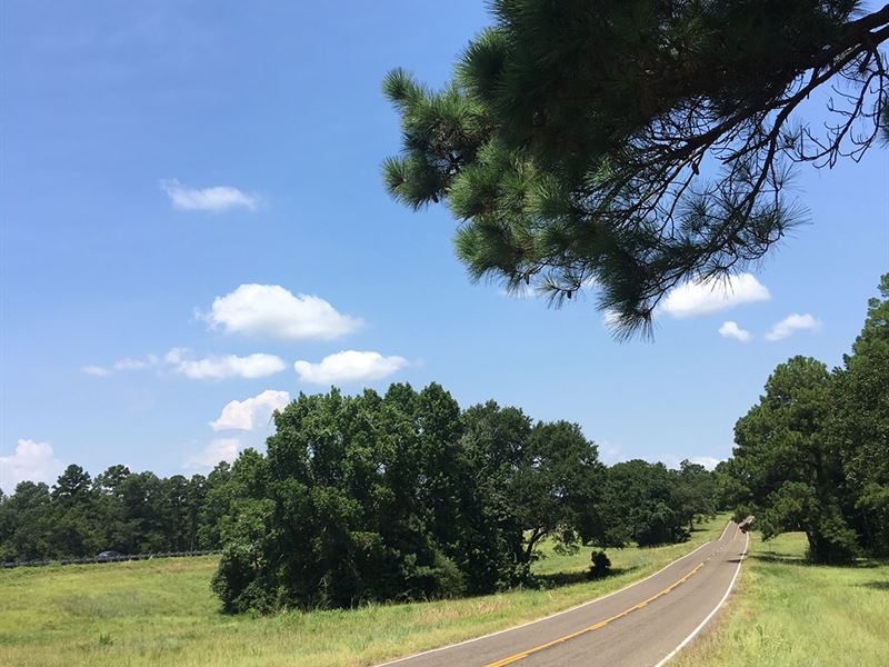 1185 Acres I-45 Service Road : Huntsville : Walker County : Texas