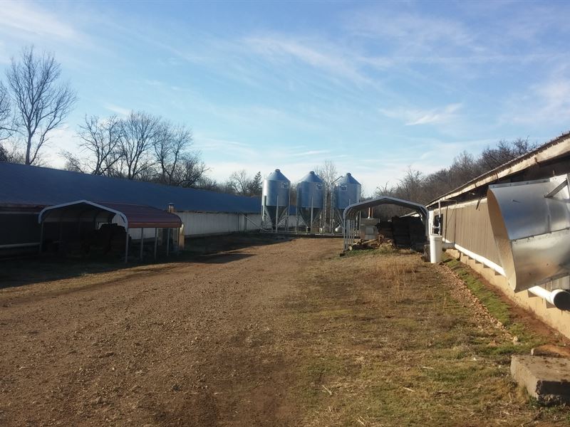 6 House Tyson Contract Poultry Farm : Green Forest : Carroll County : Arkansas