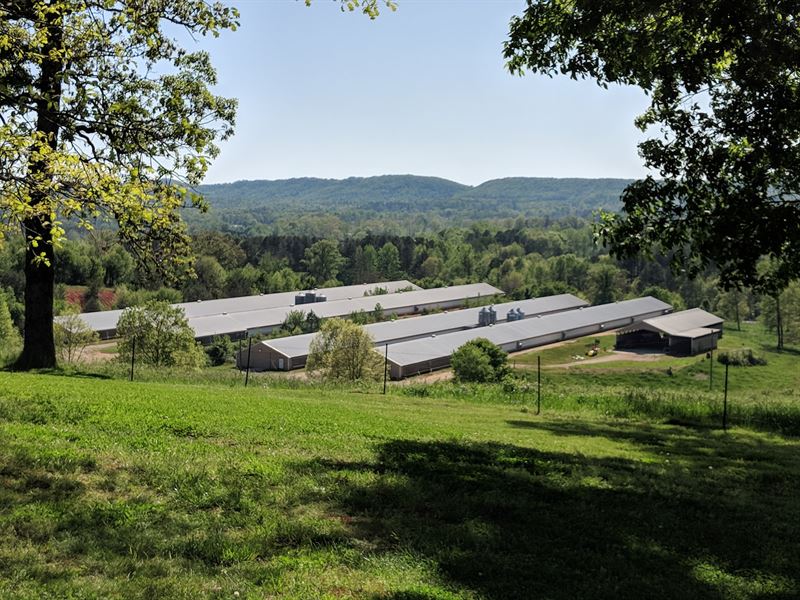 Hilltop Farm : Lafayette : Walker County : Georgia