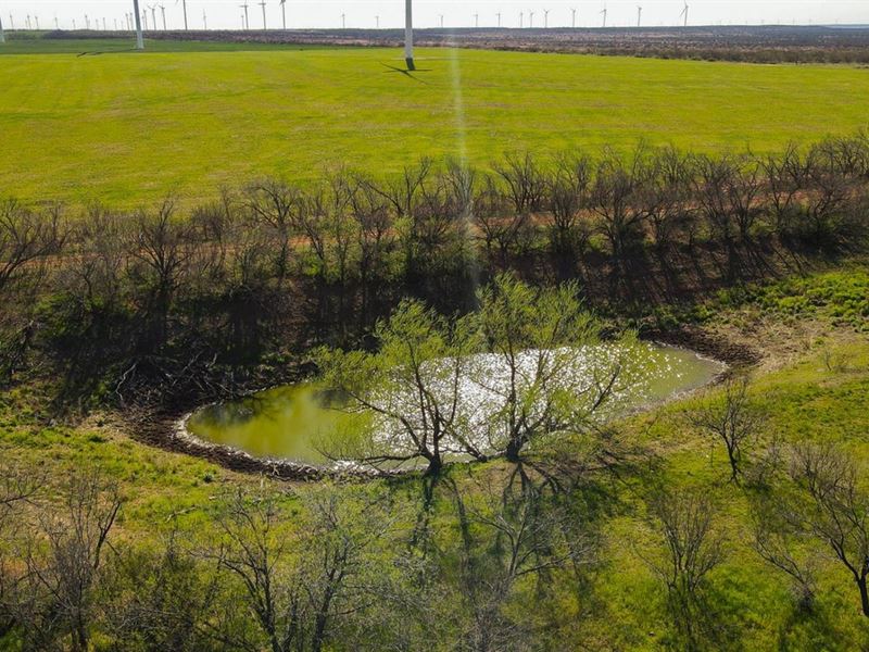 RS , 332 Ac CR 3300, Crowell : Truscott : Knox County : Texas