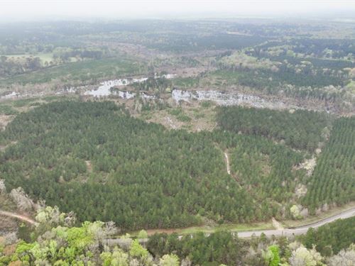Ferguson Road Tract, Red River Pari : Edgefield : Red River Parish : Louisiana