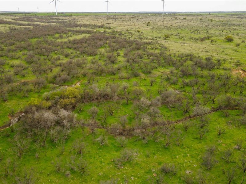 RS , The Key Ranch, 1496 ac : Archer City : Archer County : Texas