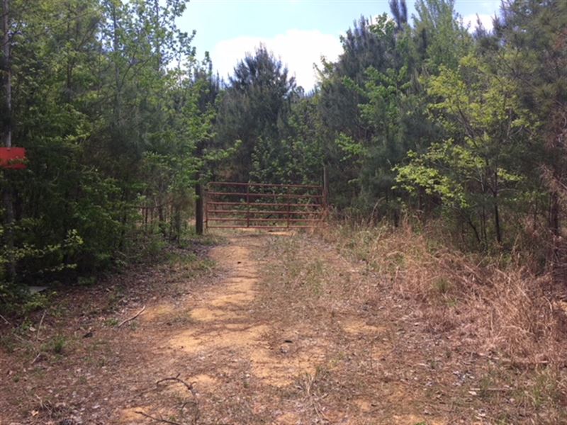 Hunting Or Cabin Retreat Site : Blountsville : Blount County : Alabama