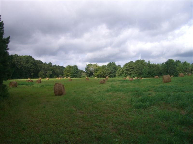 65 Acres Pasture Overlooking River : Pisgah : Jackson County : Alabama