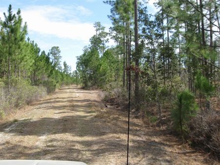 Trucker Tract : Brooklet : Bulloch County : Georgia