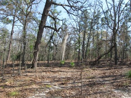 Wells Tract : Swainsboro : Emanuel County : Georgia