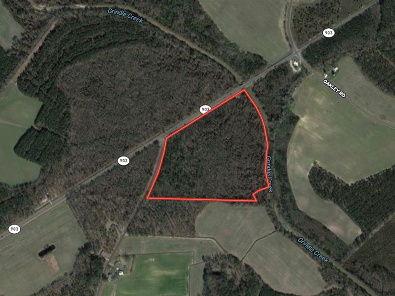 37.5 Acres of Cre : Stokes : Pitt County : North Carolina