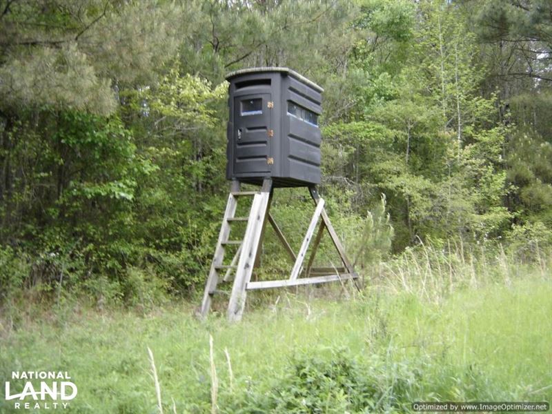 283 Ac, Hunting Tract Near Big Blac : Vaiden : Montgomery County : Mississippi