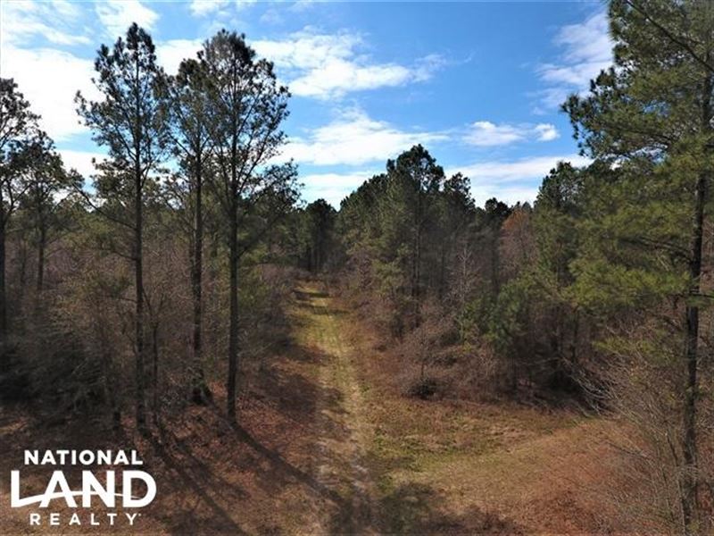 Town Creek : Pinetops : Edgecombe County : North Carolina