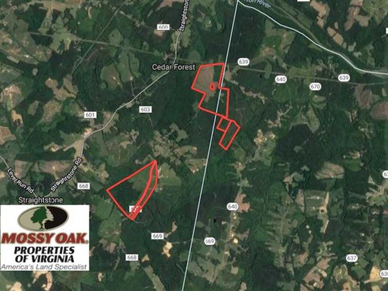 377 Acres of Hunting Land for Sale : Cedar Forest : Pittsylvania County : Virginia