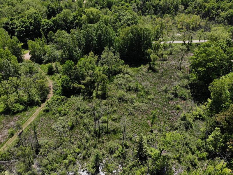 Very Rare Find 40 Acre Hunting : Marcellus : Cass County : Michigan