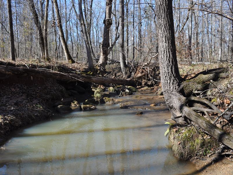 Oak Haven : Greensboro : Greene County : Georgia