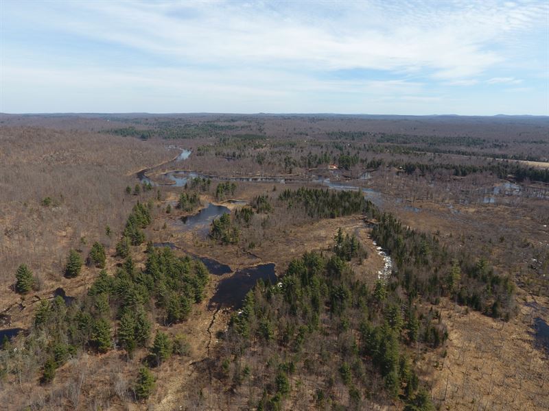 Grasse River Forest : Russell : Saint Lawrence County : New York