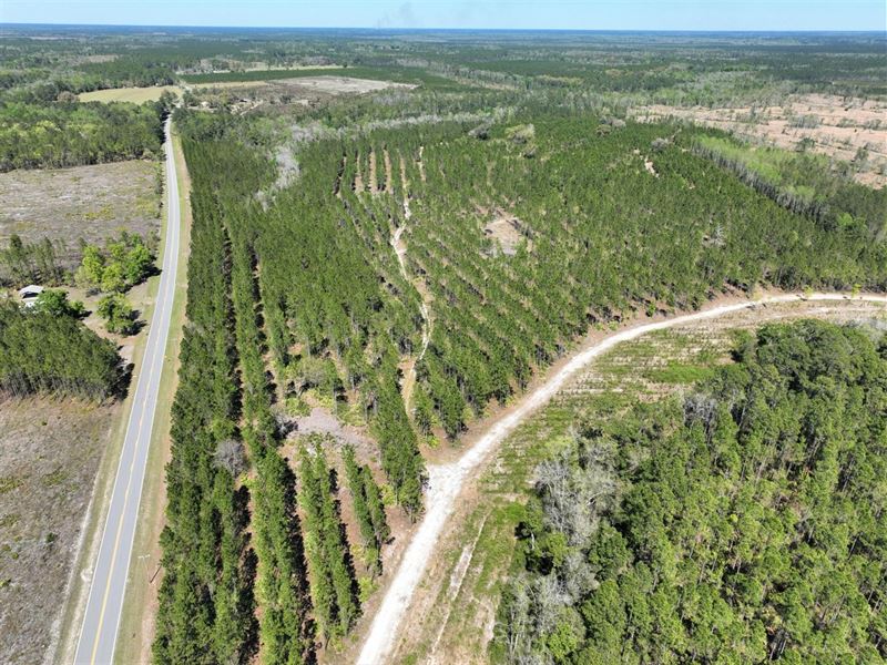 400 Acre River Road Tract Charlton : Folkston : Charlton County : Georgia