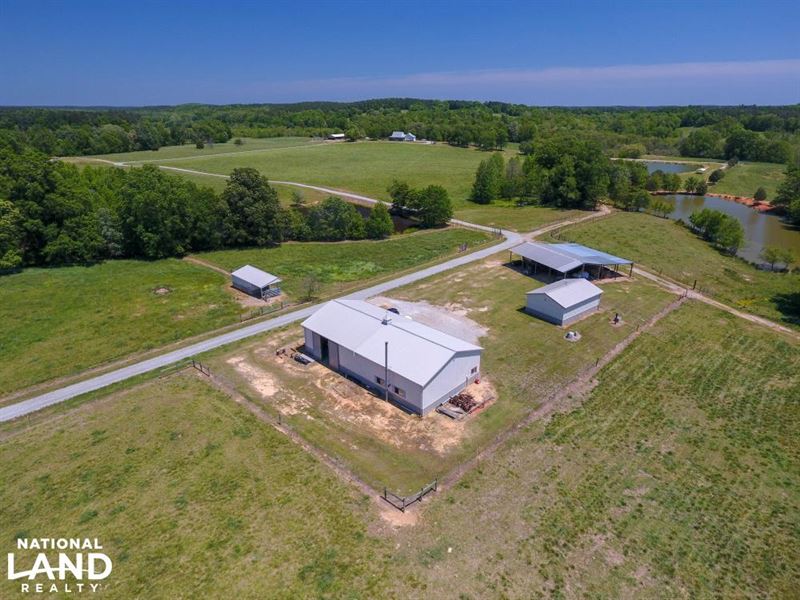 Heffner Cattle Farm : Clinton : Laurens County : South Carolina