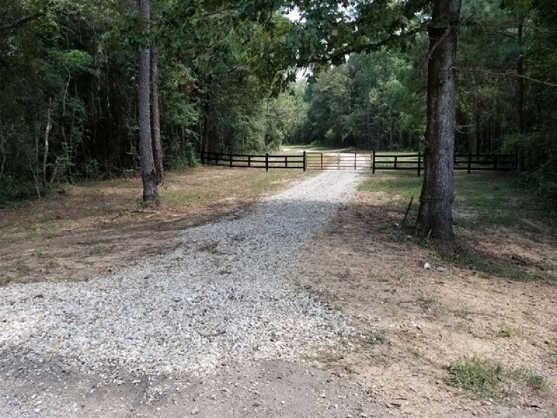 173.77 Acres On Magees Creek With : Tylertown : Walthall County : Mississippi