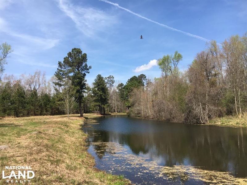 Maidendown Bay Hunting Property : Mullins : Marion County : South Carolina
