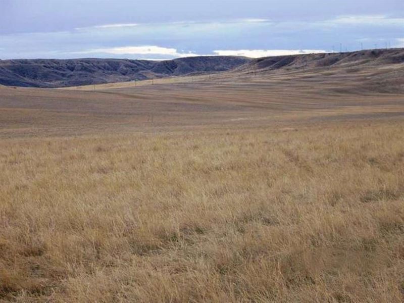 Downtown Ranch : Fort Benton : Chouteau County : Montana