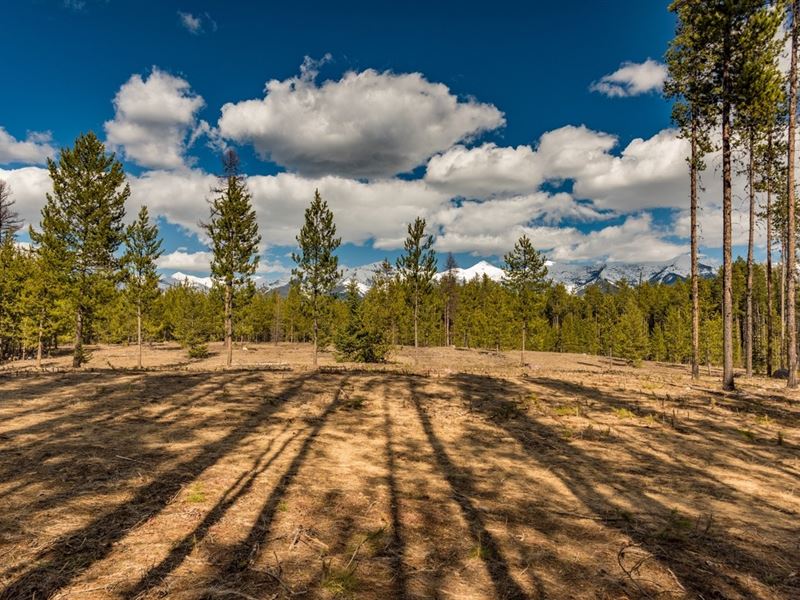Cougar Run Lot 2 : Condon : Missoula County : Montana
