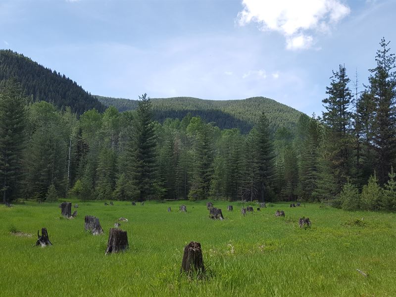 Clark Fork Solitude : Clark Fork : Bonner County : Idaho