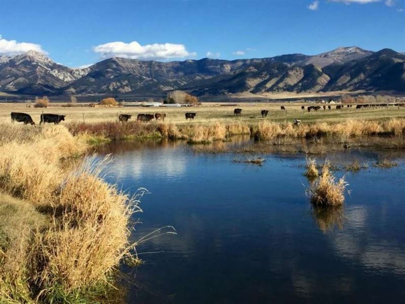 Trout Creek Ranch : Belgrade : Gallatin County : Montana