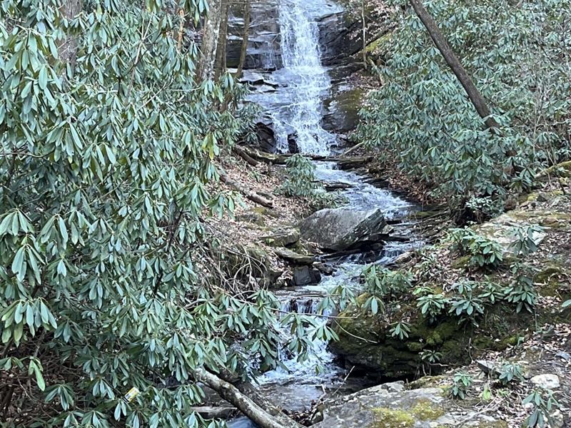 137.87 Acres Off Darnell Creek : Millers Creek : Wilkes County : North Carolina