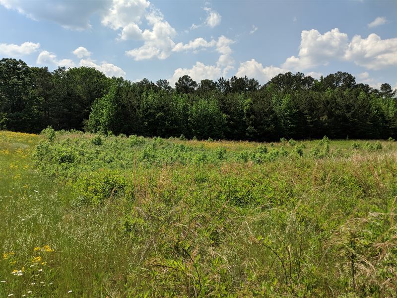 Johnson Lake Road Property : Cedartown : Polk County : Georgia