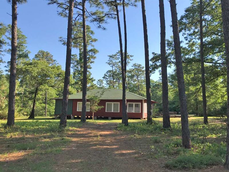 Hicks and Horne Tract : Mc David : Escambia County : Florida