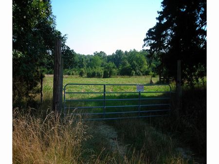 Ditta Hill Ranch & Hunting Property : Black Rock : Lawrence County : Arkansas