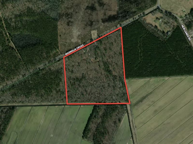 34 Acres with House in Tyrrell Coun : Columbia : Tyrrell County : North Carolina