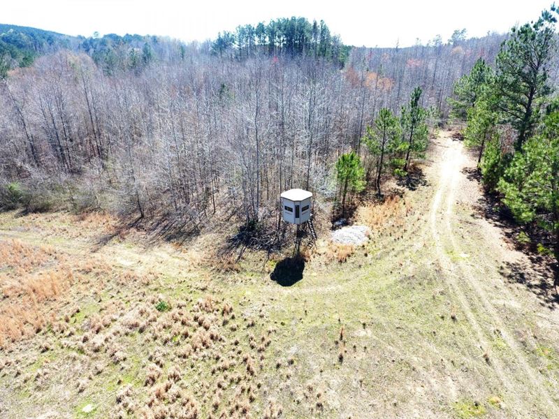 Hardin Co TN 294.5 Acres : Counce : Hardin County : Tennessee