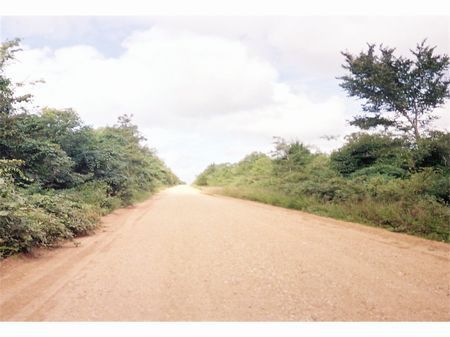 Pratt Ranch & Hunting Property : Imboden : Lawrence County : Arkansas