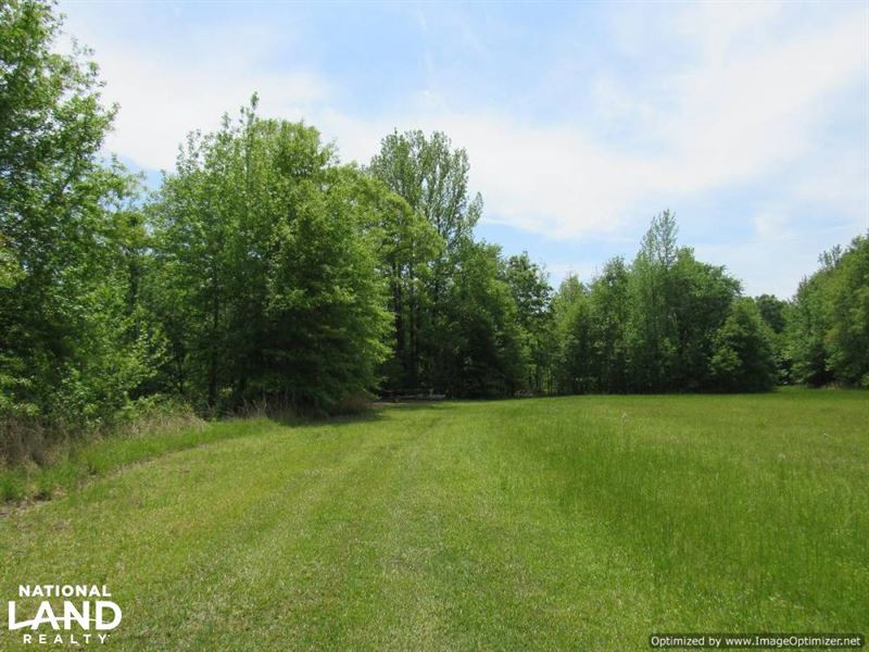 Great Recreational Tract with 40 Ac : Lexington : Holmes County : Mississippi