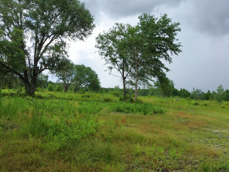 Land Close To I-10 Interchange : Lake City : Columbia County : Florida
