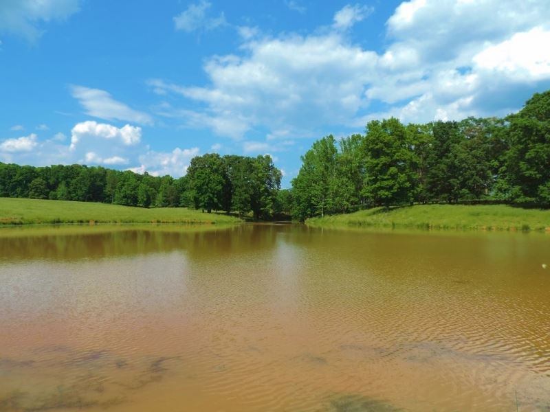 Cattle Farm with 2 Ponds : Monticello : Jasper County : Georgia
