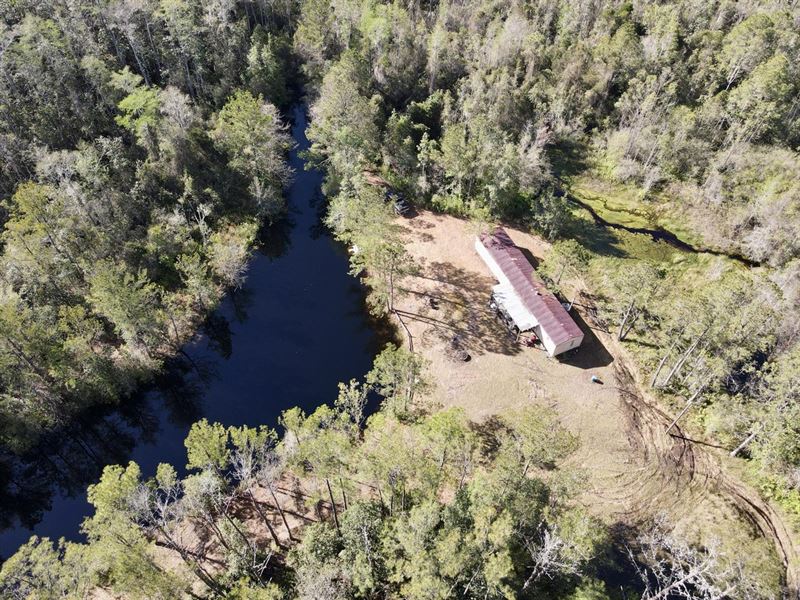 216 Acre Hunting Tract & Camp : Madison : Madison County : Florida