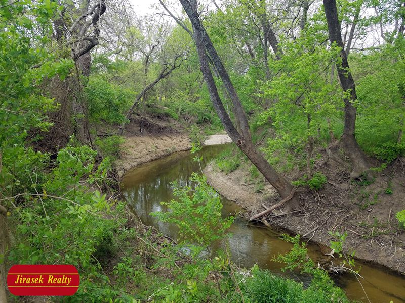 12.693 Ac, Big Elm Creek, Troy Isd : Troy : Bell County : Texas