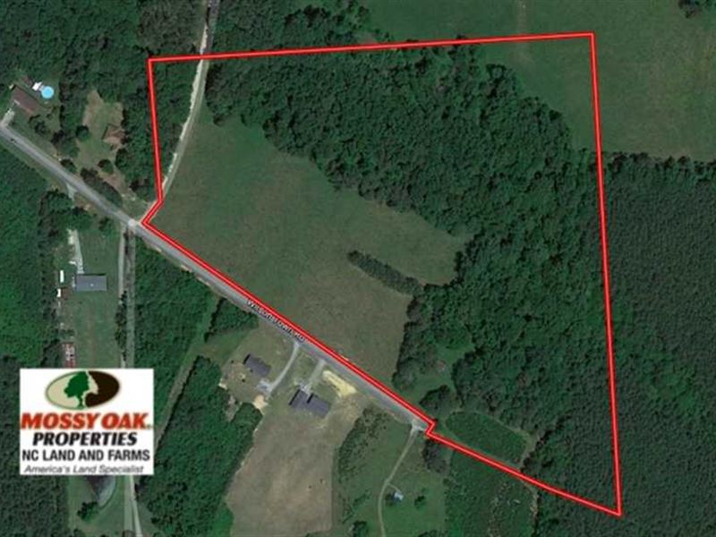 Under Contract, 22 Acres of Timbe : Oxford : Granville County : North Carolina